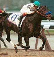 Aqueduct Racing: El Corredor Wins Cigar Mile Aqueduct Racing: El Corredor Wins Cigar Mile