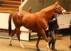 Tartan Bearer is heading to stud in Turkey after being purchased for 50,000 guineas.