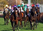 O'Briens Team Up to Win Breeders' Cup Turf O'Briens Team Up to Win Breeders' Cup Turf