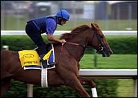 Godolphin Pre-Enters Eight in Breeders' Cup; Two Cross-Entered Godolphin Pre-Enters Eight in Breeders' Cup; Two Cross-Entered