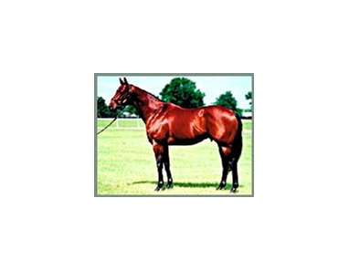 End Sweep, shuttle stallion euthanized July 12.