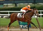 Accountforthegold wins the Stuyvesant Handicap, Saturday at Aqueduct.<br><a target="blank" href="http://www.bloodhorse.com/horse-racing/photo-store?ref=http%3A%2F%2Fpictopia.com%2Fperl%2Fgal%3Fprovider_id%3D368%26ptp_photo_id%3D659267%26%26ref%3Dstory">Order This Photo</a>