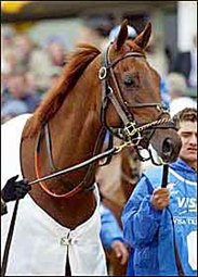 2003 Eclipse 3YO Male of the Year: Funny Cide 2003 Eclipse 3YO Male of the Year: Funny Cide
