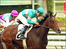 Belleski Nips Intercontinental in Maddy 'Cap Belleski Nips Intercontinental in Maddy 'Cap