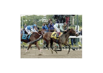 Belmont Stakes winner Birdstone has been retired.