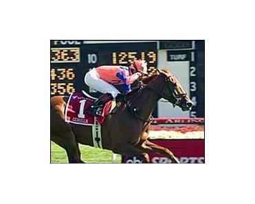 Gorella passes million dollar mark with come-from-behind Beverly D. romp.
