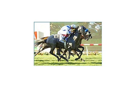 Blackdoun, outside, collars Toasted, middle, and Laura's Lucky Boy, inside, to win the Del Mar Derby.