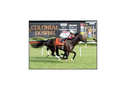Colonial Turf winner Summer Doldrums set for Saturday's Virginia Derby.<br><a target="blank" href="http://www.bloodhorse.com/horse-racing/photo-store?ref=http%3A%2F%2Fpictopia.com%2Fperl%2Fgal%3Fprovider_id%3D368%26ptp_photo_id%3D1456254%26ref%3Dstory">Order This Photo</a>