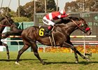 Acclamation takes the Charles Whittingham Memorial Handicap for the third consecutive year.