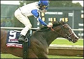 Westerly Breeze Takes Sloppy Alcibiades Westerly Breeze Takes Sloppy Alcibiades