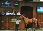 Officer Filly Brings $325,000 at OBS March Officer Filly Brings $325,000 at OBS March