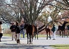 Keeneland November Sale