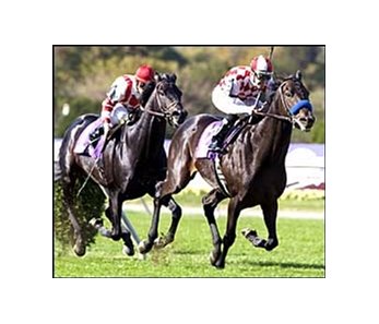 Val Royal comes from far back to win the Mile.<p>