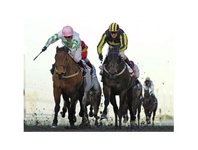 Hitchens (left) defeated Krypton Factor by a head in the Al Shindagha Sprint.
