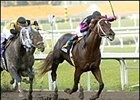 Grade I Winner First Samurai to Claiborne Upon Retirement Grade I Winner First Samurai to Claiborne Upon Retirement