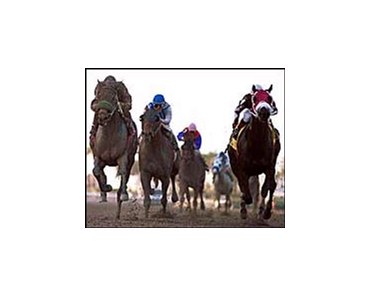 Sir Bear, left, with Eibar Coa riding, heads to a win in the $200,000 Gulfstream Park Handicap over Pleasant Breeze, right, at Gulfstream Park on Saturday, March 3, 2001. Broken Vow, center, was third.