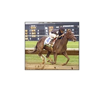Take Charge Lady scores big victory in the Spinster.