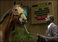 Pleasant Colony Colt Tops at Keeneland 2-Year-Old Sale Pleasant Colony Colt Tops at Keeneland 2-Year-Old Sale