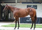Island Love Song, Hip #27, filly, Dehere - Marialua by Maria's Mon, brought $220,000 at the July 12 Fasig-Tipton July yearling sale.