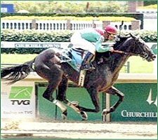 Tiger Hunt to Debut in Northern Spur; Derby Still Under Consideration Tiger Hunt to Debut in Northern Spur; Derby Still Under Consideration