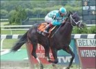 Tremont winner Ready's Image faces 8 in Saratoga's Sanford Stakes.