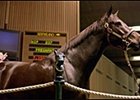 Cash Run, brought world-record price at Keeneland.