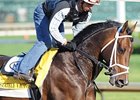 Haskin's Derby Report: Victor in the Slop Haskin's Derby Report: Victor in the Slop