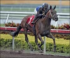 No Stopping Invasor in Donn Handicap No Stopping Invasor in Donn Handicap