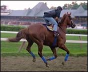 Point Given Draws Post Seven; Other Travers Notes Point Given Draws Post Seven; Other Travers Notes