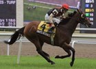Rahy's Attorney, who won the 2009 Nijinsky, will try to defend his crown in 2010.