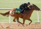Menifee Filly Leads Ocala 2-Year-Old Preview Session Menifee Filly Leads Ocala 2-Year-Old Preview Session