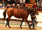 Soinlovewithyou Tops Tattersalls Session Soinlovewithyou Tops Tattersalls Session
