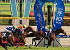 Clarity Sky wins the NHK Mile Cup.
<br><a target="blank" href="
http://photos.bloodhorse.com/AtTheRaces-1/At-the-Races-2015/i-rBRNcrS">Order This Photo</a>