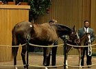 Keeneland January Sale