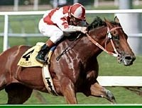 Three Chimneys Buys Riboletta's Half-Sister Three Chimneys Buys Riboletta's Half-Sister