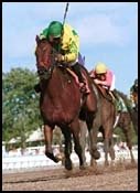 Joanies Bella Rallies to Win Arlington Washington Lassie Joanies Bella Rallies to Win Arlington Washington Lassie