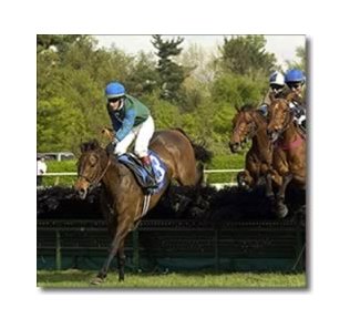 Hirapour, winning the Royal Chase at Keeneland, is one of nine entered in the New York Turf Writers Cup.