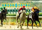 Del Mar's Figures Up; No Deaths So Far on Slower Polytrack Del Mar's Figures Up; No Deaths So Far on Slower Polytrack