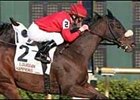 Mr. Sulu wins the Turf on Louisiana Champions Day, Saturday at the Fair Grounds meet at Harrahs Louisiana Downs.
