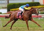 Dayathespa wins the Herecomesthebride Stakes.