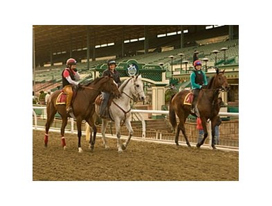 Santa Anita Dirt Surface