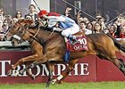 Solemia (near) and Orfevre finished one-two in the 2012 Qatar Prix de l'Arc de Triomphe.