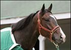 Lava Man Gets 124 in Quest for Third Gold Cup Lava Man Gets 124 in Quest for Third Gold Cup