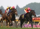 Classic Drama for Apapane and Saint Emilion Classic Drama for Apapane and Saint Emilion