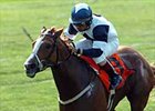Garden City (gr. IT) winner Alexander Tango; dead at age 3