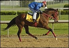 'Alex' Impresses in Morning Workout 'Alex' Impresses in Morning Workout