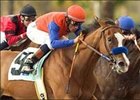 Tasha's Miracle heads a field of 11 Juvenile Fillies in the Oak Leaf.<br><a target="blank" href="http://www.bloodhorse.com/horse-racing/photo-store?ref=http%3A%2F%2Fpictopia.com%2Fperl%2Fgal%3Fprovider_id%3D368%26ptp_photo_id%3D1948974%26ref%3Dstory">Order This Photo</a>