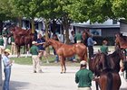 Book Three Ends with Solid Trade at Keeneland Book Three Ends with Solid Trade at Keeneland