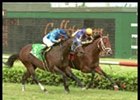 Texas Glitter Wins Race Marred by Spill Texas Glitter Wins Race Marred by Spill