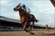 Lawyer Ron Romps in Whitney, Sets Track Mark Lawyer Ron Romps in Whitney, Sets Track Mark